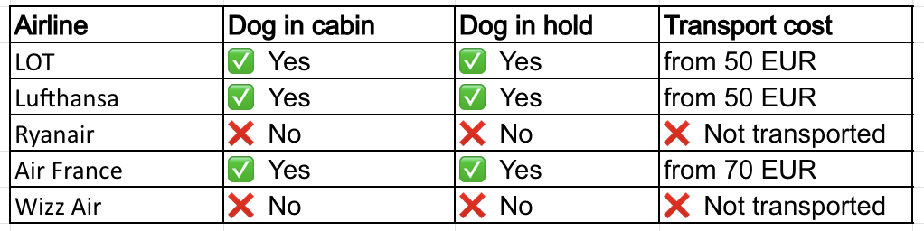 Airlines that allow dogs